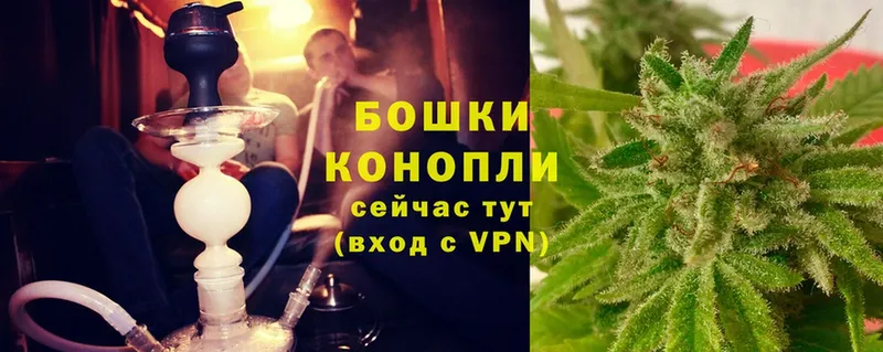 где можно купить   Заволжск  Конопля OG Kush 